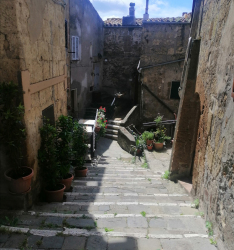 Appartamento in vendita a Pitigliano