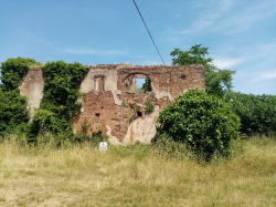 montorio  c,s. scarlattina