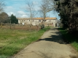 Casa di campagna con terreno