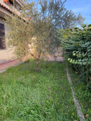 via Nicola Ciacci